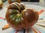 Tomato 'Black Altai' Seeds (Certified Organic)