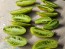 Tomato 'Green Sausage' Seeds (Certified Organic)
