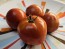 Tomato 'Super Sioux' Seeds (Certified Organic)