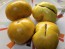 Tomato 'Pork Chop' Seeds (Certified Organic)