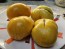 Tomato 'Pork Chop' Seeds (Certified Organic)