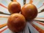Tomato 'Red Zebra Cherry' Seeds (Certified Organic)