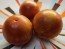 Tomato 'Red Zebra Cherry' Seeds (Certified Organic)