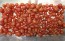 Tomato 'Mini Red Oval TR' Seeds (Certified Organic) 
