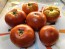 Tomato 'Marglobe Supreme' Seeds (Certified Organic)