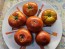 Tomato 'Marglobe Supreme' Seeds (Certified Organic)