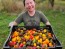 Sweet Pepper ‘Mini Chocolate Bell’ Seeds (Certified Organic)