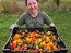 Sweet Pepper ‘Mini Chocolate Bell’ Seeds (Certified Organic)