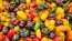 Sweet Pepper ‘Mini Chocolate Bell’ Seeds (Certified Organic)