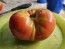 Tomato 'Aunt Lou's Underground Railroad' Seeds (Certified Organic)