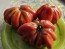 Tomato 'Zapotec Pleated' Seeds (Certified Organic)