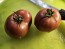 Tomato 'Striped Ping Pong' Seeds (Certified Organic)