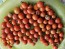 Tomato 'Red Currant Spoon' Seeds (Certified Organic)
