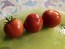 Tomato 'Clifford Red Cherry' Seeds (Certified Organic)