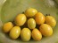 Tomato 'Chang Li' Seeds (Certified Organic)