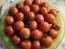 Tomato 'Gardener's Delight' Seeds (Certified Organic)