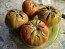 Tomato 'Flathead Monster Pink' Seeds (Certified Organic)