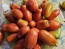 Tomato 'San Marzano Long 2' Seeds (Certified Organic)