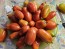 Tomato 'San Marzano Long 2' Seeds (Certified Organic)