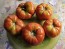 Tomato 'Beefmaster F2' Seeds (Certified Organic)