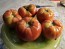 Tomato 'Beefmaster F2' Seeds (Certified Organic)