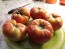 Tomato 'Beefmaster F2' Seeds (Certified Organic)