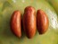 Tomato 'Casady's Folly' Seeds (Certified Organic) 
