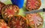 Tomato 'Everett's Rusty Brown' Seeds (Certified Organic)