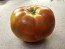 Tomato 'Cannonball' Seeds (Certified Organic)