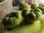 Tomato 'Green Giant' Seeds (Certified Organic)