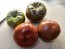 Tomato 'Black From Tula' Seeds (Certified Organic)