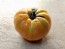 Tomato 'Azoychka' Seeds (Certified Organic)