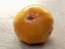 Tomato 'Azoychka' Seeds (Certified Organic)