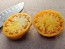 Tomato 'Azoychka' Seeds (Certified Organic)