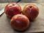 Tomato 'Flathead Monster Pink' Seeds (Certified Organic)