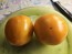 Tomato 'Golden Jubilee' Seeds (Certified Organic)