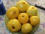 Tomato 'Manyel' Seeds (Certified Organic)