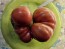 Tomato 'Flathead Monster Pink' Seeds (Certified Organic)