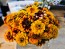 Zinnia 'Aztec Sunset Mix' Seeds (Certified Organic)