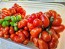 Tomato 'Reisetomate' Seeds (Certified Organic) 
