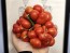 Tomato 'Reisetomate' Seeds (Certified Organic) 