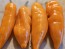 Hot Pepper 'Lemon Drop Orange' Seeds (Certified Organic)