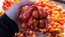 Tomato 'Reisetomate' Seeds (Certified Organic) 