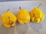 Hot Pepper 'Yellow Carolina Reaper' AKA ‘Reaper Moruga Yellow' Seeds (Certified Organic)