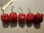 Hot Pepper ‘CGN 21500 x Isabela Island Galapagos Habanero' Seeds (Certified Organic)