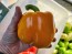 Bell Pepper 'Golden California Wonder' Seeds (Certified Organic) 