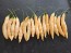 Hot Pepper ‘Dedo De Moca Peach' Seeds (Certified Organic)
