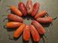 Hot Pepper ‘TAM Jalapeno’ Seeds (Certified Organic)