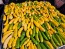 Hot Pepper 'Aji Lemon Drop' Seeds (Certified Organic)