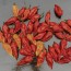 Crushed Ghost (Bhut Jolokia) Peppers Harvested on our Farm, Certified Organic